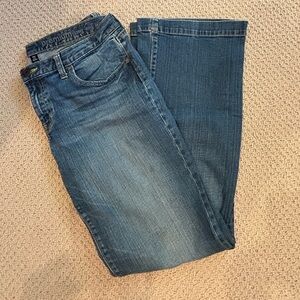Gap Jeans, Size 12, Premium Long and Lean